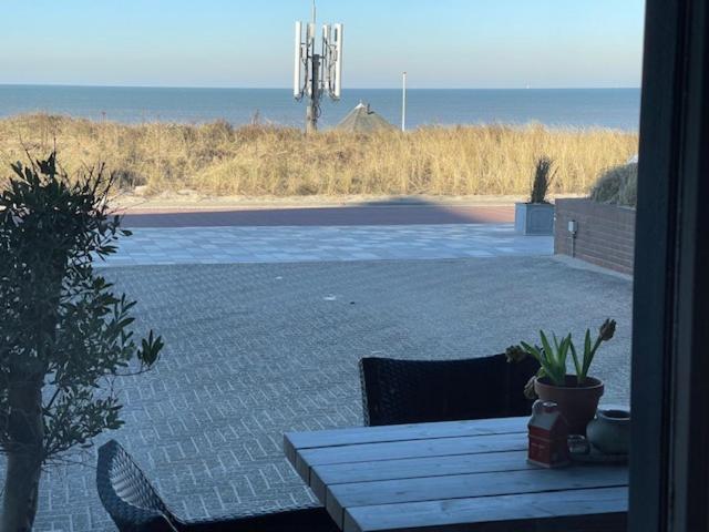 B&B Zeespiegel Zandvoort Eksteriør billede