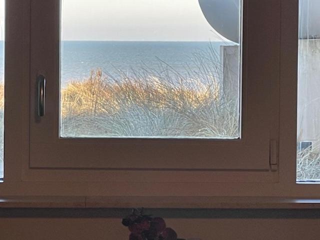 B&B Zeespiegel Zandvoort Eksteriør billede