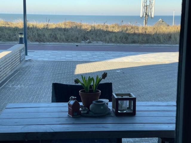 B&B Zeespiegel Zandvoort Eksteriør billede