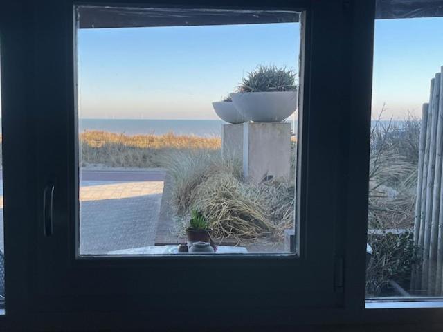 B&B Zeespiegel Zandvoort Eksteriør billede