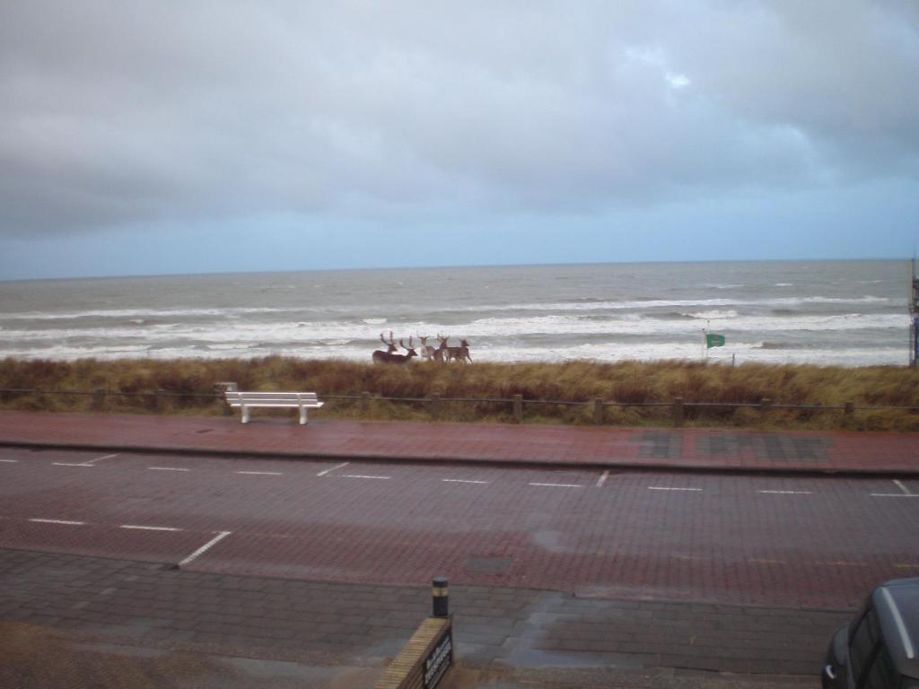 B&B Zeespiegel Zandvoort Værelse billede